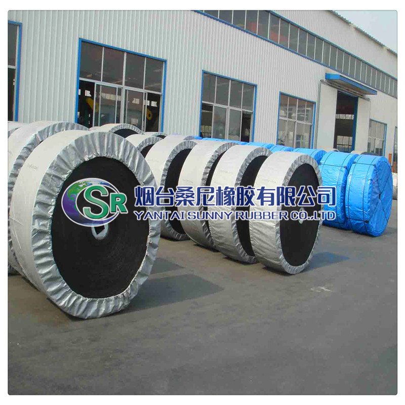 
                High-Quality Heat Resistance Rubber Conveyor Belt for Coal Plant
            